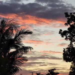 Meet your Posher, Angelina